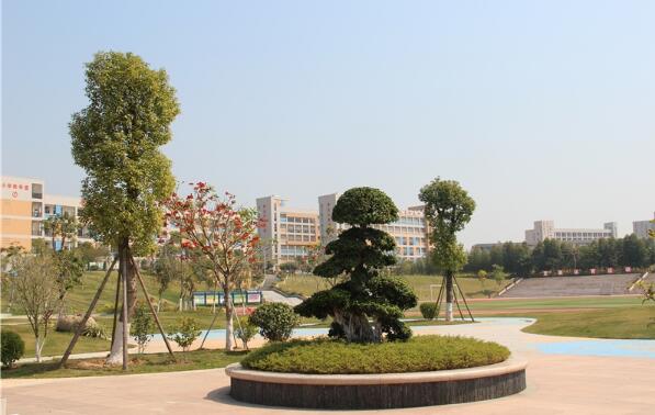 泉州聚龙外国语学校国际班图片 泉州聚龙外国语学校国际班图片