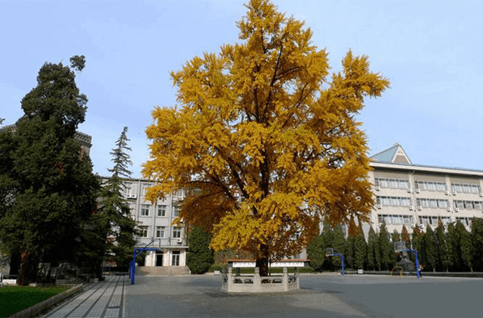 北京市第二十五中学国际部