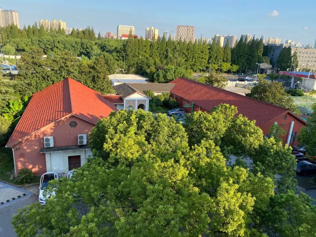 光华美高（杨浦）