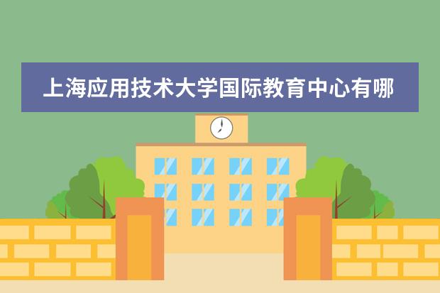 上海应用技术大学国际教育中心有哪些课程设置