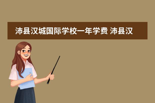 沛县汉城国际学校一年学费 沛县汉城国际学校招生标准2022