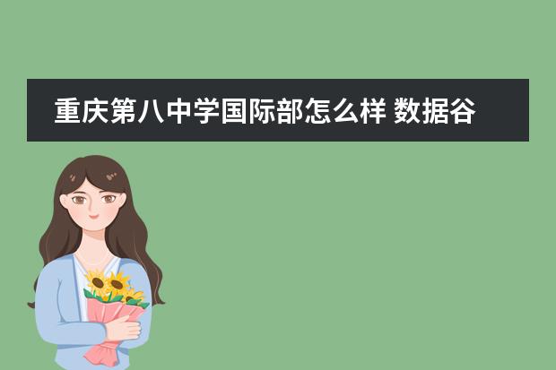重庆第八中学国际部怎么样 数据谷八中是什么档次