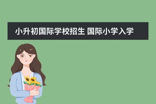 小升初国际学校招生 国际小学入学条件?