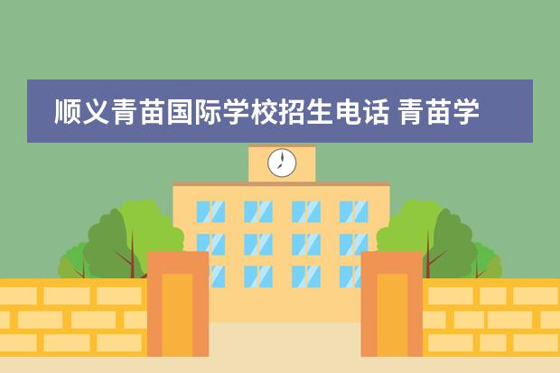 顺义青苗国际学校招生电话 青苗学校顺义天竺校区入学条件