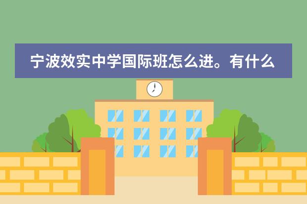 宁波效实中学国际班怎么进。有什么要求