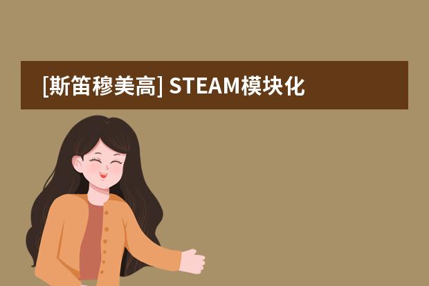 [斯笛穆美高] STEAM模块化课程+美国高中课程+AP课