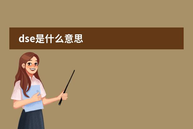 dse是什么意思