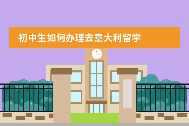 初中生如何办理去意大利留学