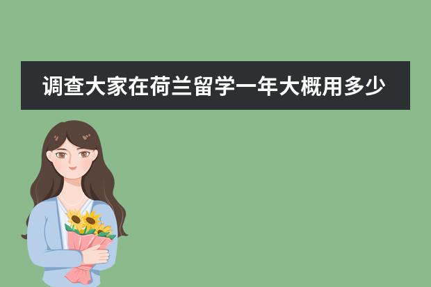 调查大家在荷兰留学一年大概用多少钱啊?