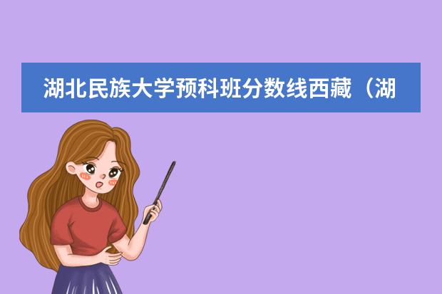湖北民族大学预科班分数线西藏（湖北师范大学预科班分数线）