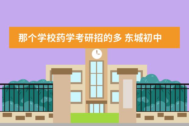 那个学校药学考研招的多 东城初中排名一览表