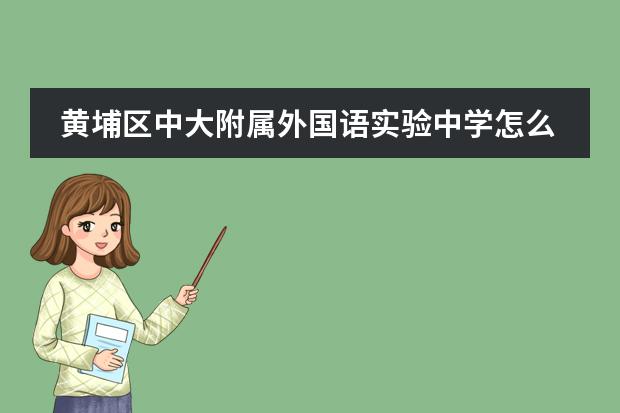 黄埔区中大附属外国语实验中学怎么样?