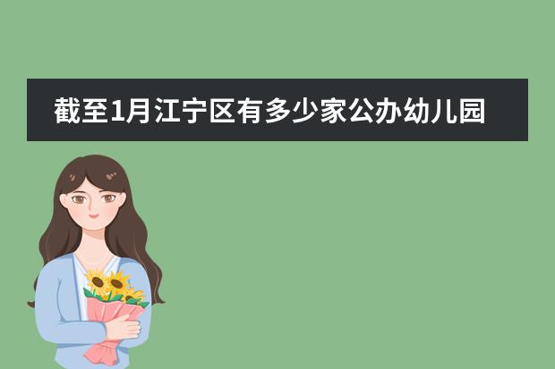 截至1月江宁区有多少家公办幼儿园？
