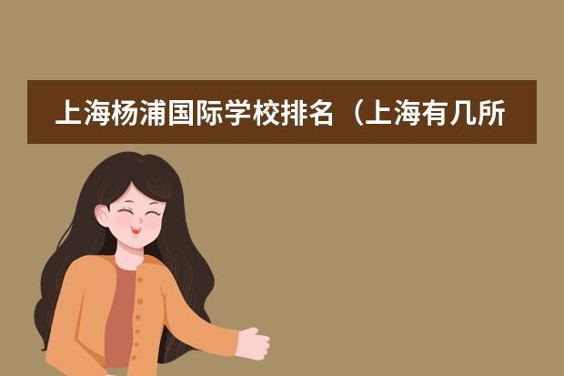 上海杨浦国际学校排名（上海有几所国际学校）