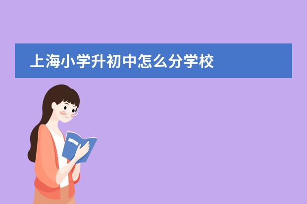 上海小学升初中怎么分学校