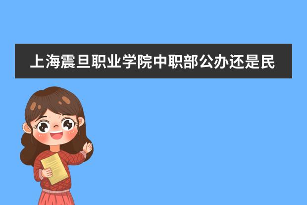 上海震旦职业学院中职部公办还是民办学费一年多少