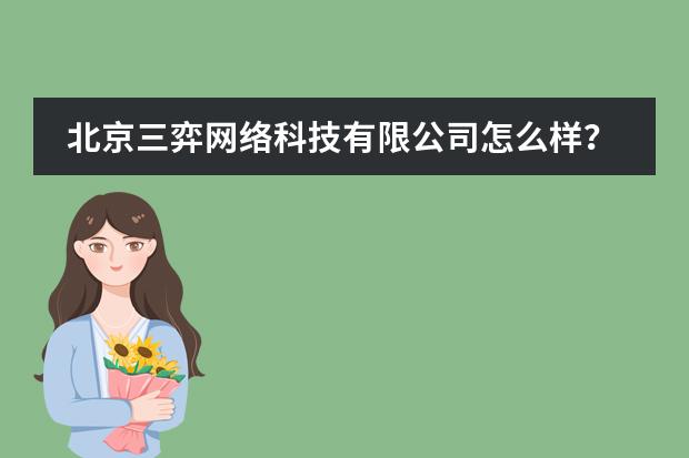 北京三弈网络科技有限公司怎么样?