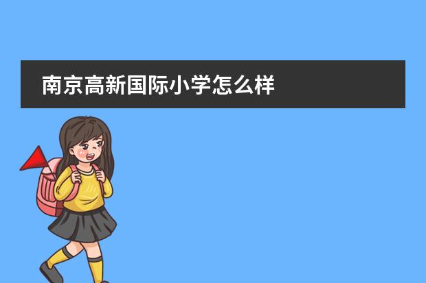 南京高新国际小学怎么样