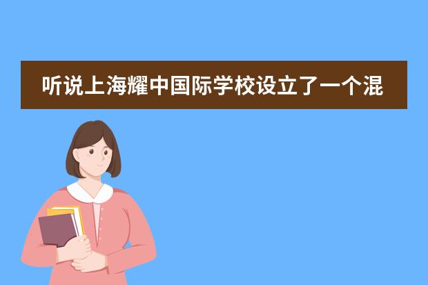 听说上海耀中国际学校设立了一个混龄班？主要教什么内容？怎么报名？