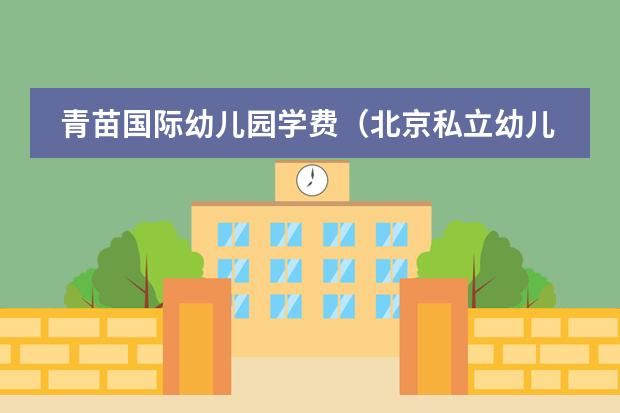 青苗国际幼儿园学费(北京私立幼儿园排名及收费)