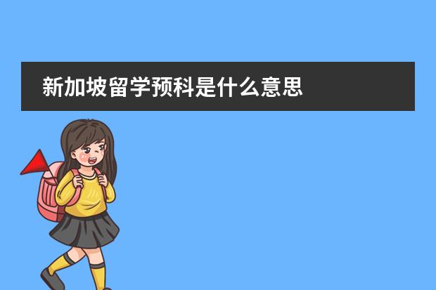 新加坡留学预科是什么意思