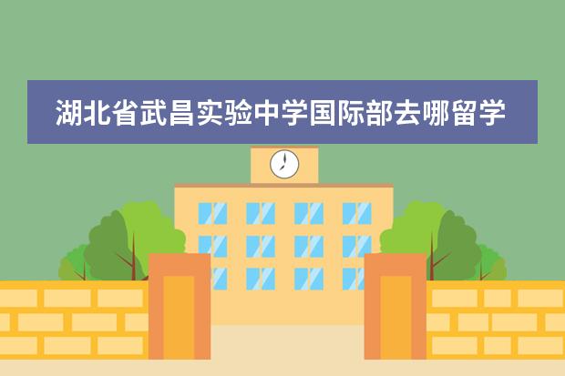 湖北省武昌实验中学国际部去哪留学 留学国家介绍