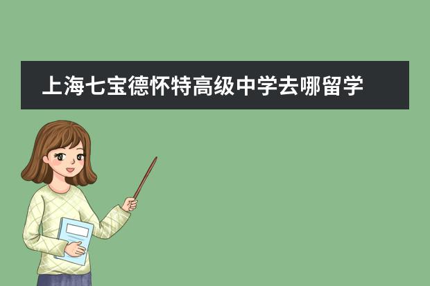 上海七宝德怀特高级中学去哪留学 留学国家介绍