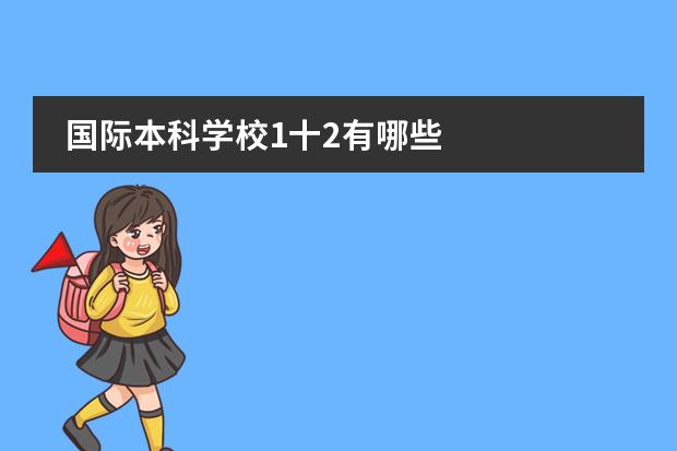 国际本科学校1十2有哪些