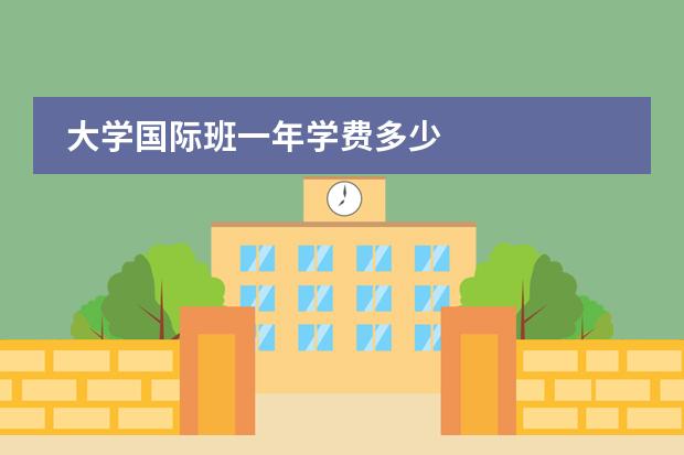 大学国际班一年学费多少