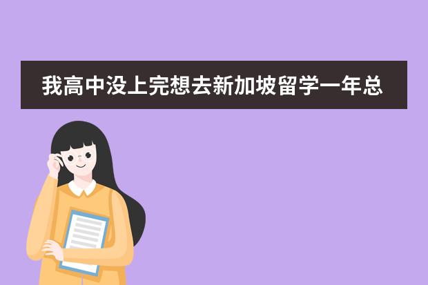 我高中没上完想去新加坡留学一年总费用是多少人民币?