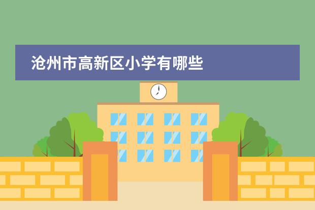 沧州市高新区小学有哪些