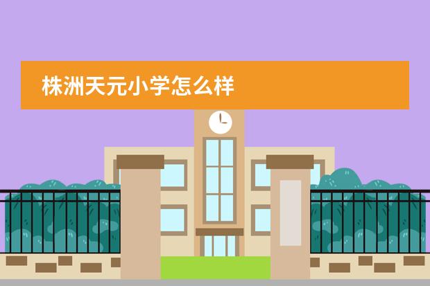 株洲天元小学怎么样