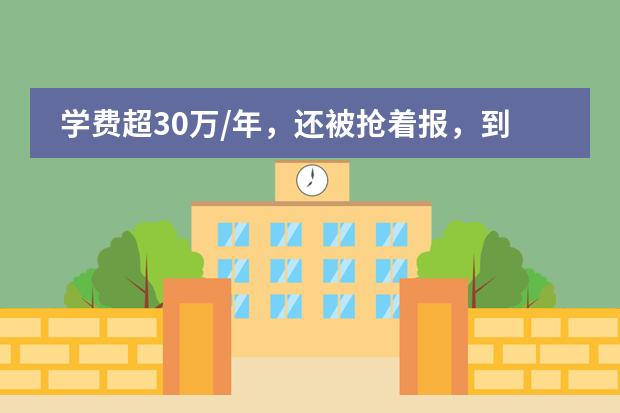 学费超30万/年，还被抢着报，到底都是怎样的国际学校？揭秘！ 2025-26年深圳学费最贵国际学校Top5曝光！最壕的读完要花534万！