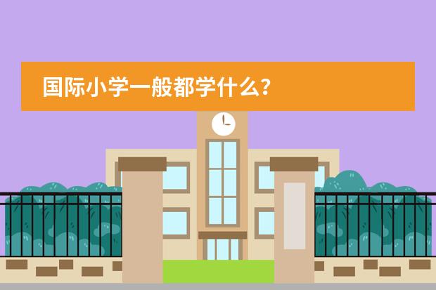 国际小学一般都学什么？