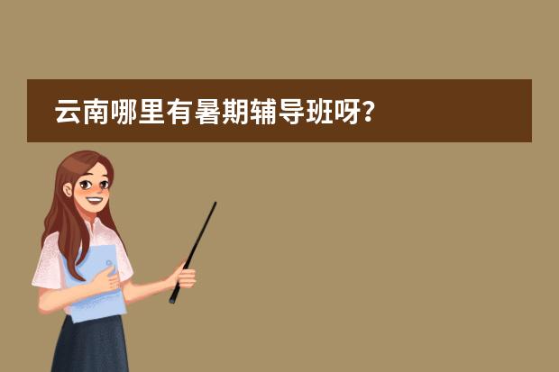 云南哪里有暑期辅导班呀？