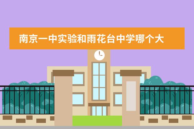南京一中实验和雨花台中学哪个大