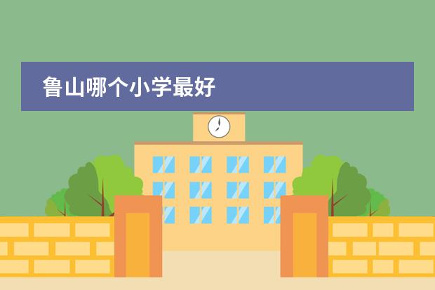 鲁山哪个小学最好