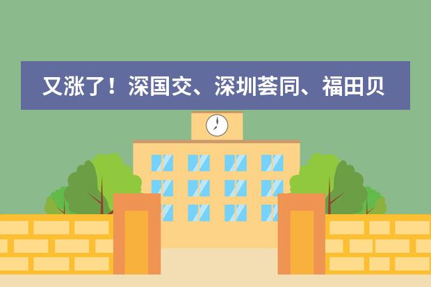 又涨了！深国交、深圳荟同、福田贝赛思等国际学校2025年学费！ 深圳南山区国际学校学费汇总！