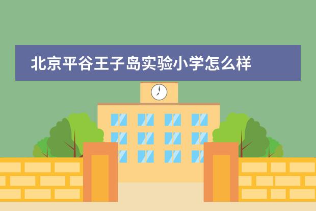 北京平谷王子岛实验小学怎么样