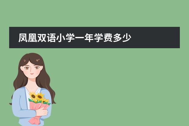 凤凰双语小学一年学费多少