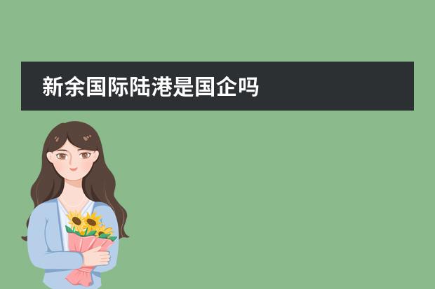 新余国际陆港是国企吗