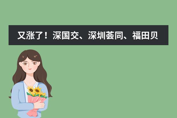 又涨了！深国交、深圳荟同、福田贝赛思等国际学校2025年学费！ 2025-26年深圳学费最贵国际学校Top5曝光！最壕的读完要花534万！