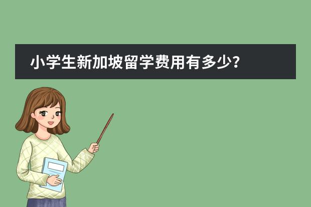 小学生新加坡留学费用有多少？