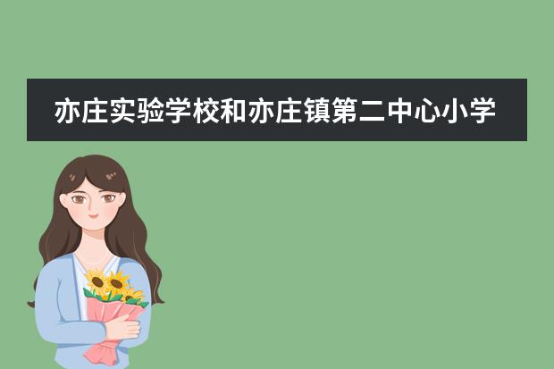 亦庄实验学校和亦庄镇第二中心小学哪个好