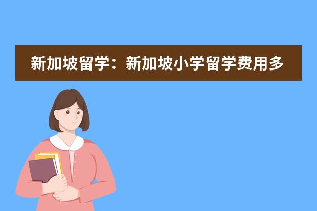 新加坡留学：新加坡小学留学费用多少？