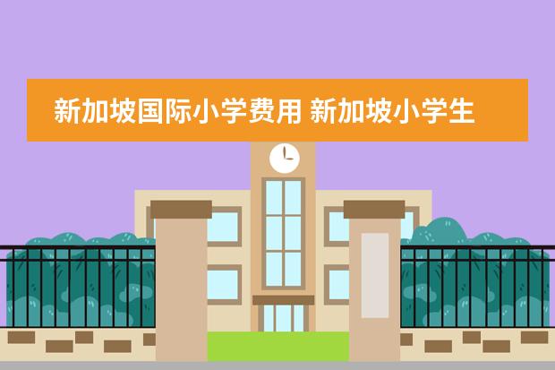 新加坡国际小学费用 新加坡小学生留学的费用 小学生新加坡留学费用