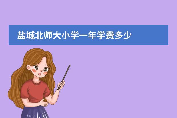 盐城北师大小学一年学费多少