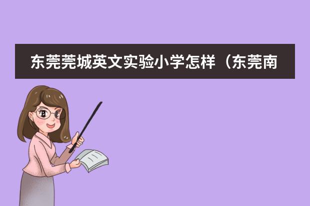 东莞莞城英文实验小学怎样（东莞南开实验学校学费）
