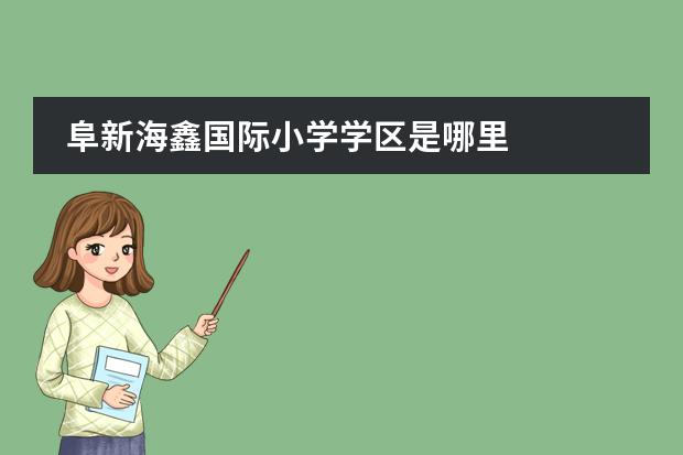 阜新海鑫国际小学学区是哪里